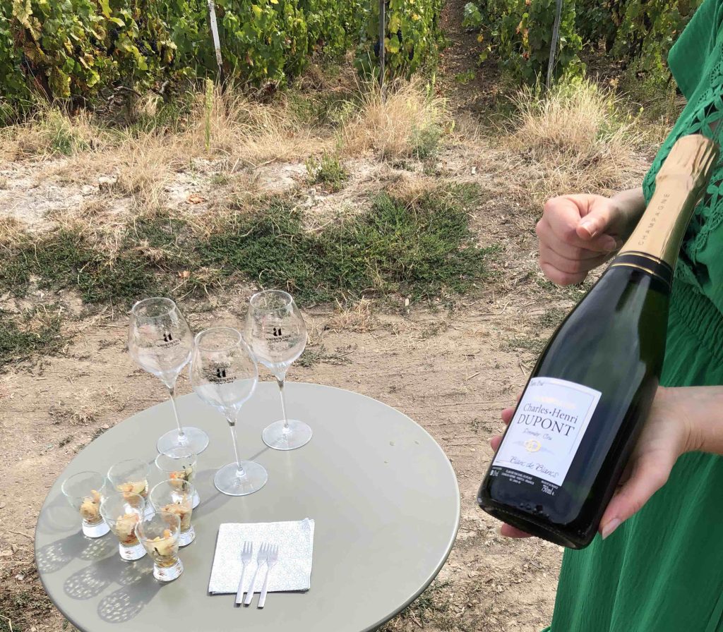 Champagne proeven in de wijngaard