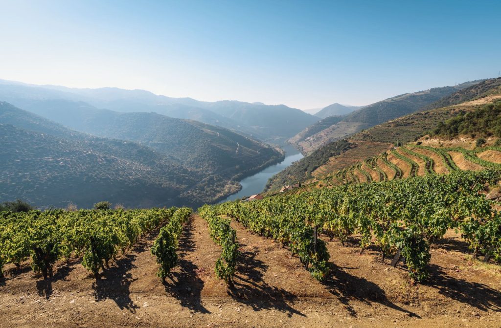 Omslagfoto waarin wijngaarden van de Douro te zien zijn