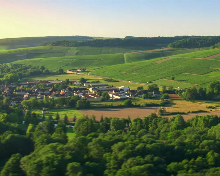 Alles over Chablis - luchtfoto van de wijngaarden en het dorpje