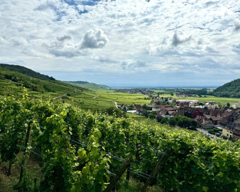 Wijnreis Alsace